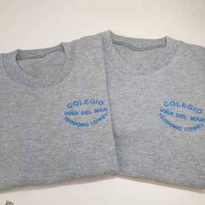 Polera Polo Formal Gris (Manga corta) Colegio Teodoro Lowey